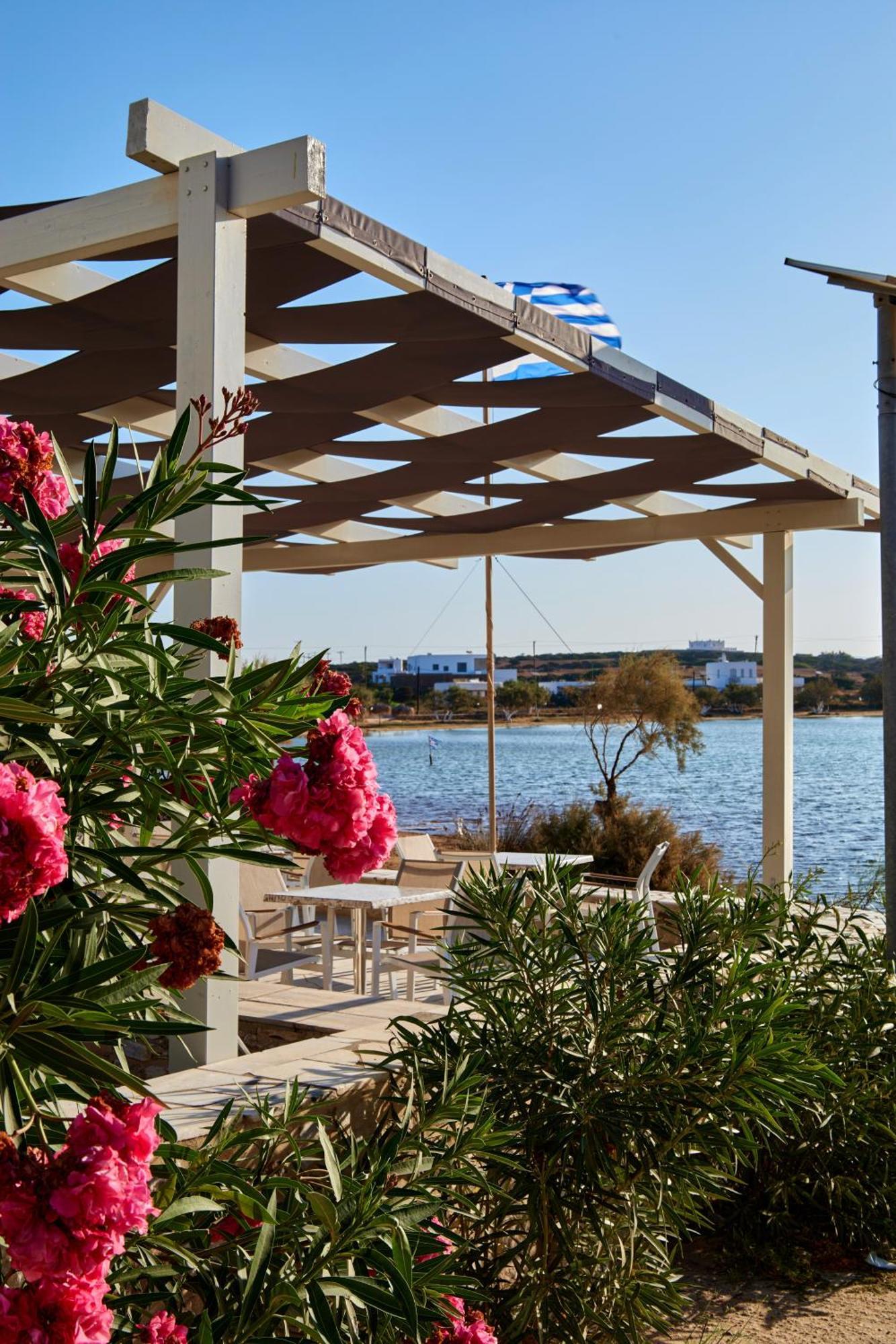 Theologos Beach Antiparos Town Dış mekan fotoğraf