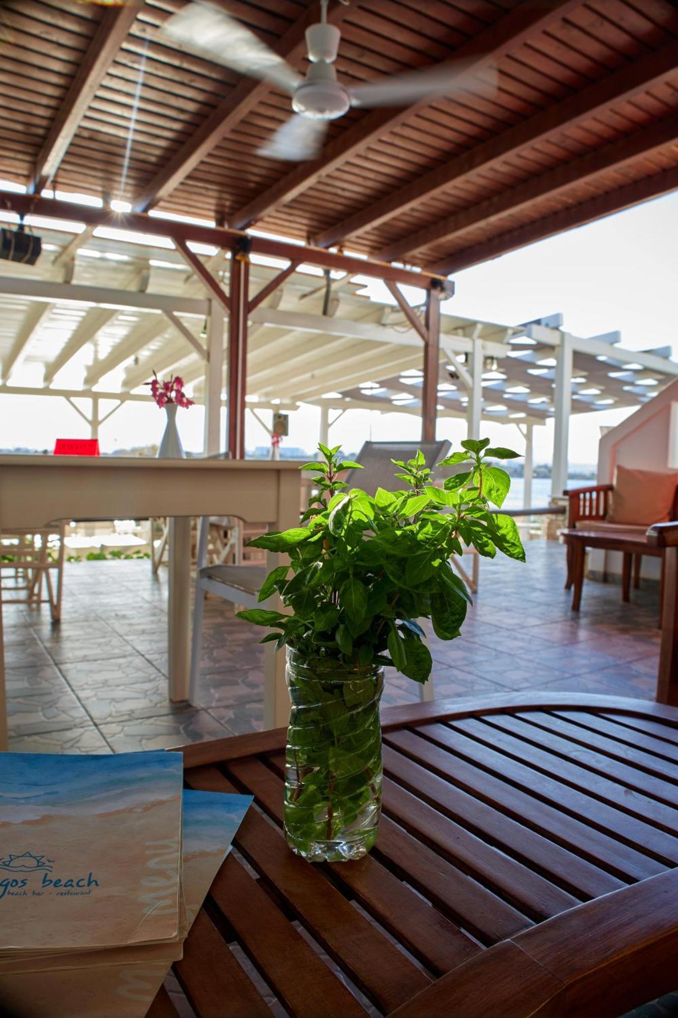 Theologos Beach Antiparos Town Dış mekan fotoğraf