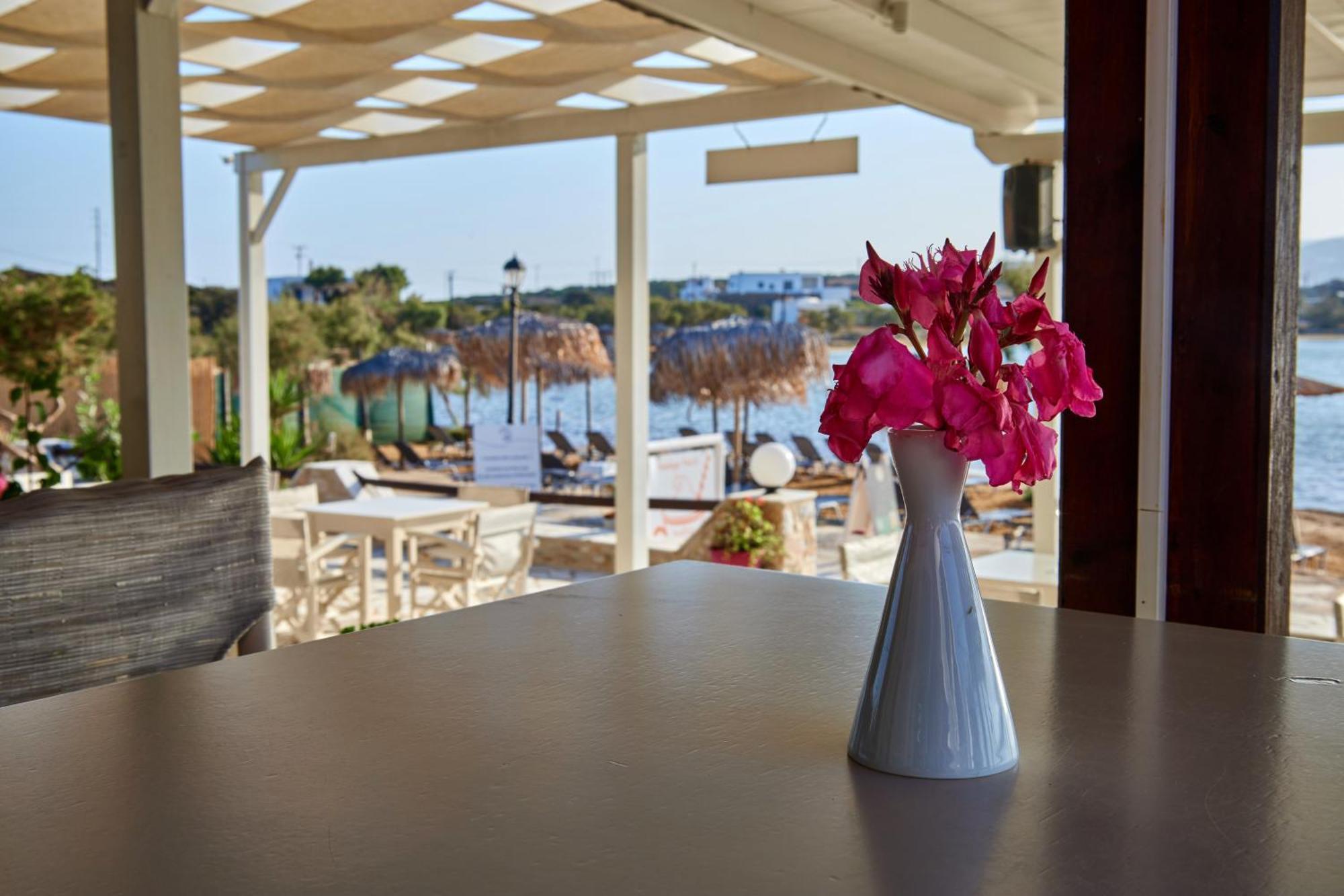 Theologos Beach Antiparos Town Dış mekan fotoğraf
